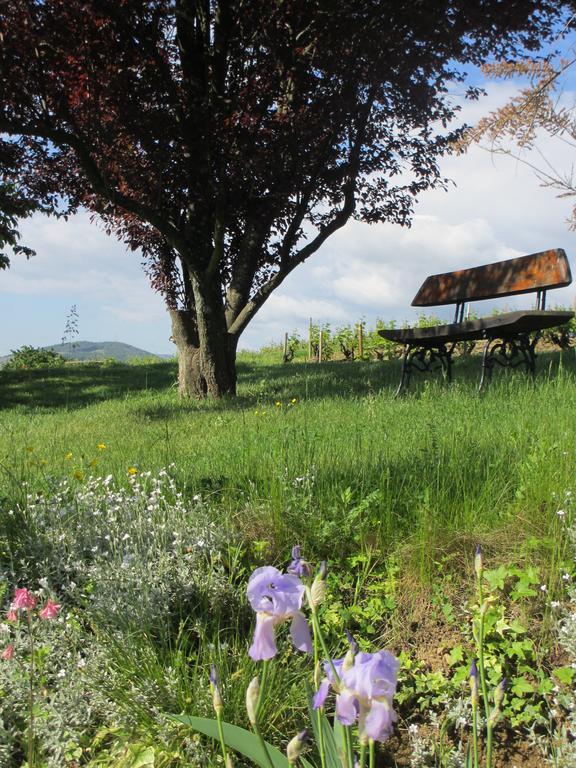 Gite Le Chene Du Py Guest House Villie-Morgon Exterior photo